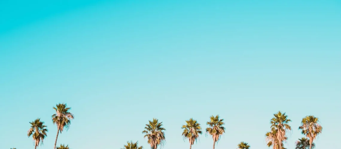 corey-agopian-5y4ljzRrDFA-unsplash-scaled