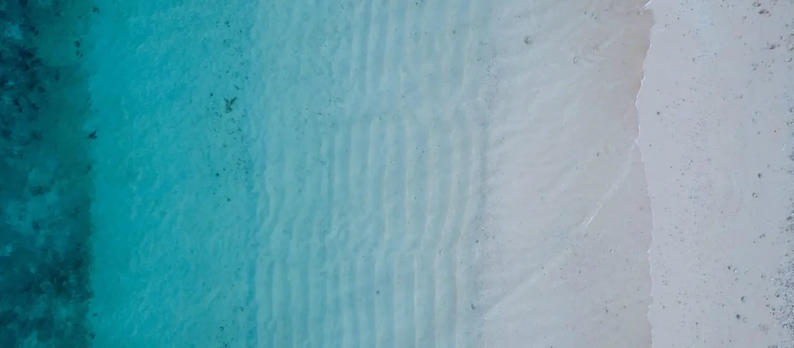 damon-hall-Dz5bJq_nEng-unsplash-scaled