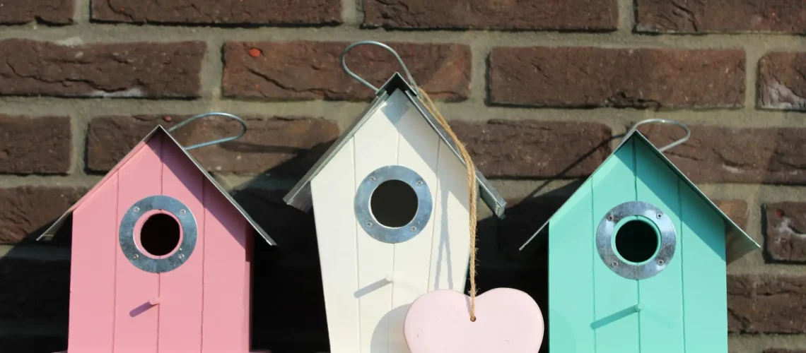 patricia-lourens-AyvwiXVqXiw-unsplash-1-scaled