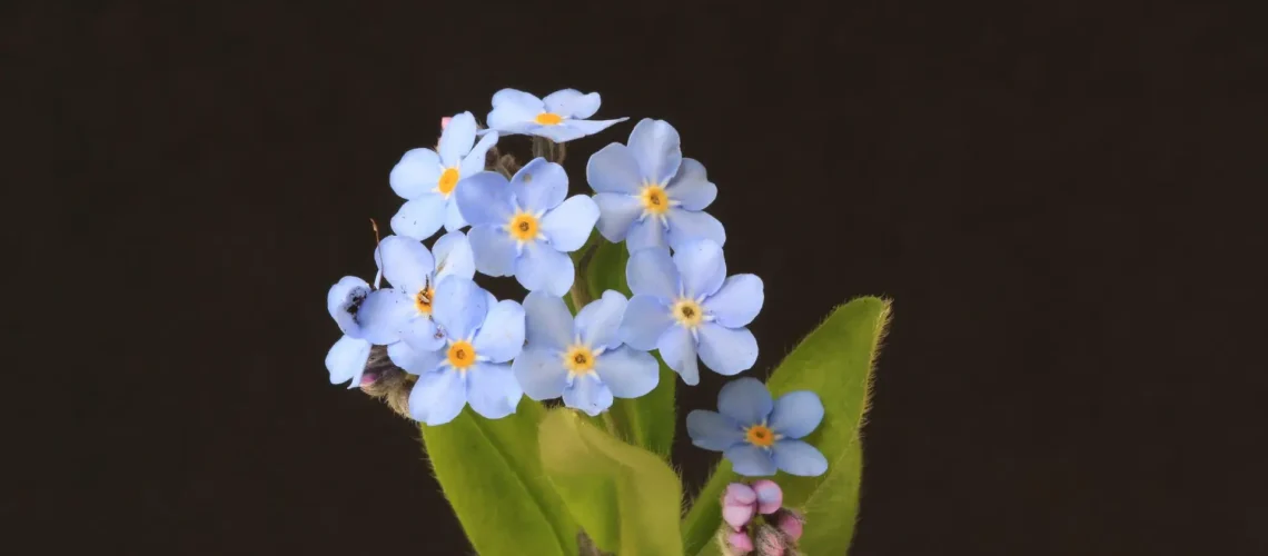 rob-pumphrey-QHWFAlp3idg-unsplash-scaled