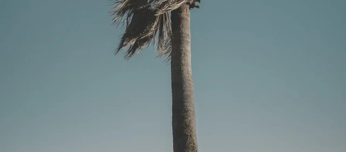 shawn-rodgers-CrOeMIXs2xU-unsplash-scaled