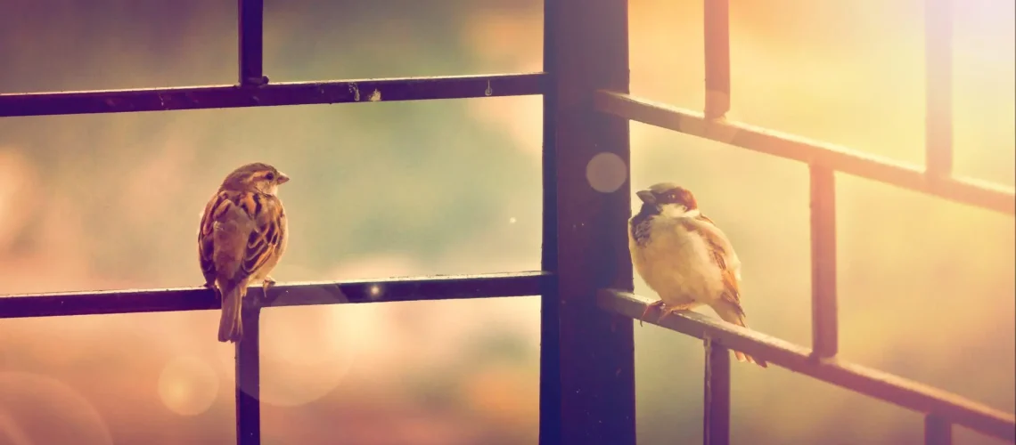 somin-khanna-efwGCPFdIcM-unsplash-scaled