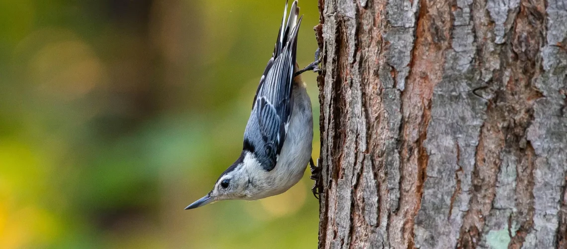 stephen-walker-WHX0TYXJbgM-unsplash-scaled